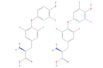 t3-t4-molecule-structure.png.c072d43e34357e0405576cd7e9db1878.png