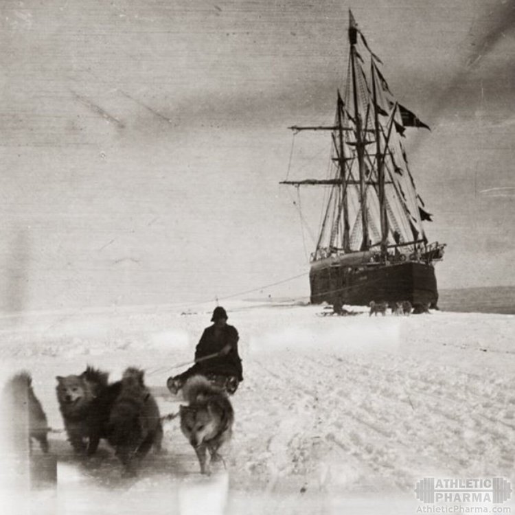 Первопроходцы Арктики (черно-белое фото)